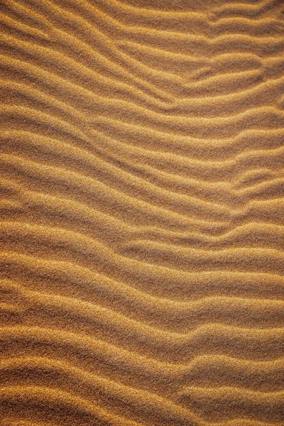 砂丘の垂直ショット — ストック写真