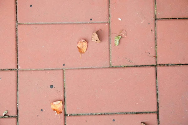 Une Vue Dessus Plancher Briques Rouges Recouvert Feuilles Tombées — Photo