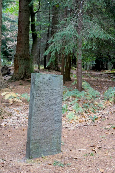 Closeup Shot Stone Memorial Middle Forest — Stock Photo, Image