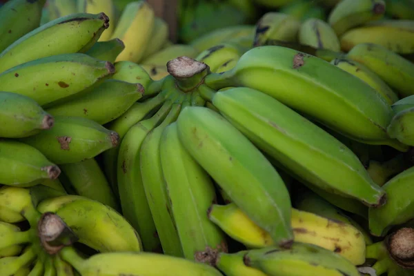 Close Bananas Verdes Saba Mercado — Fotografia de Stock