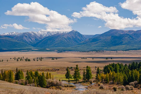 Een Mooie Opname Van Het Veld Met Het Landschap Achtergrond — Stockfoto