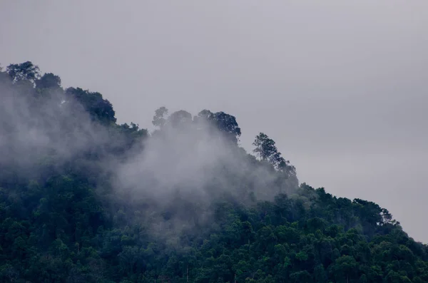 Uma Bela Paisagem Nuvens Sobre Uma Floresta Tropical Início Manhã — Fotografia de Stock