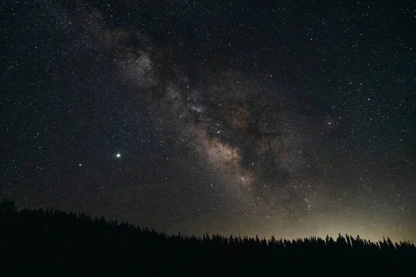 Cielo Nocturno Con Estrellas Densas Primer Plano Bosque —  Fotos de Stock