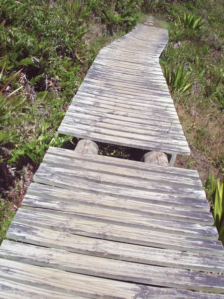 Вертикальный Кадр Деревянного Тротуара Природе — стоковое фото