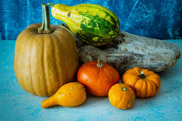 Tiro Ángulo Alto Varias Calabazas — Foto de Stock