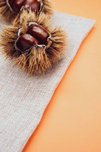Vertical Closeup Shot Sweet Chestnuts Shell Orange Background — Stock Photo, Image
