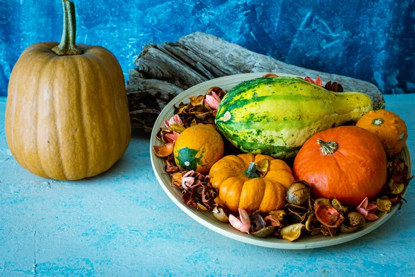 Ein Schuss Aus Dem Hohen Winkel Von Verschiedenen Squash — Stockfoto