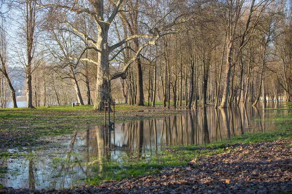 Ein Überfluteter Park Bei Flut Des Rheins Hintergrund Mit Reflexionen — Stockfoto