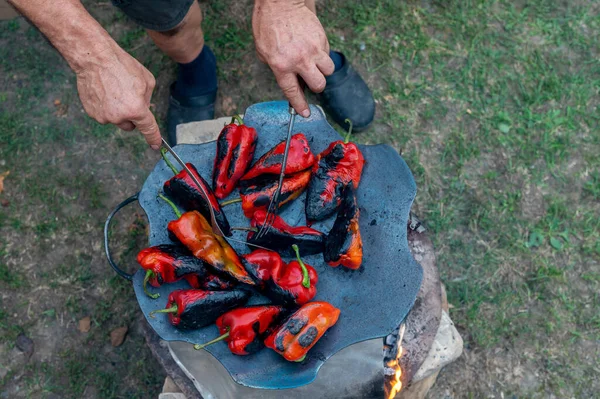 Tiro Alto Ângulo Pimentas Vermelhas Churrasco — Fotografia de Stock