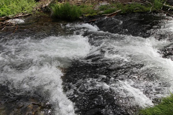 Fuerte Caudal Río Con Espuma Blanca Bosque —  Fotos de Stock