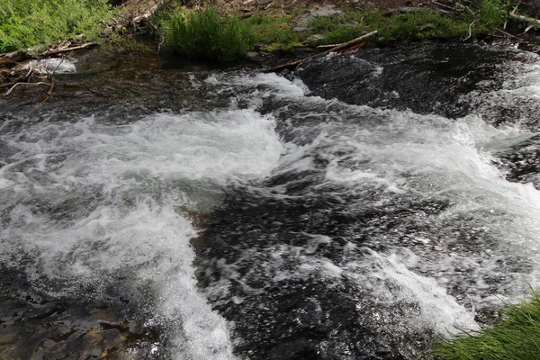 Forte Fluxo Rio Com Espuma Branca Floresta — Fotografia de Stock