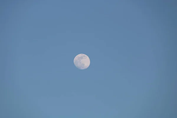 Luna Centro Foto — Stok fotoğraf