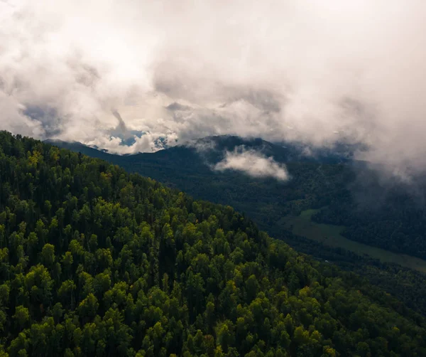 Uma Vista Aérea Floresta Com Céu Nublado Fundo — Fotografia de Stock