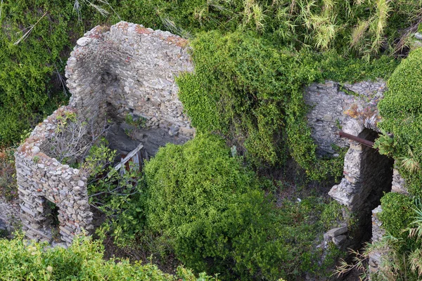 Zničený Kamenný Dům Uprostřed Vegetace — Stock fotografie