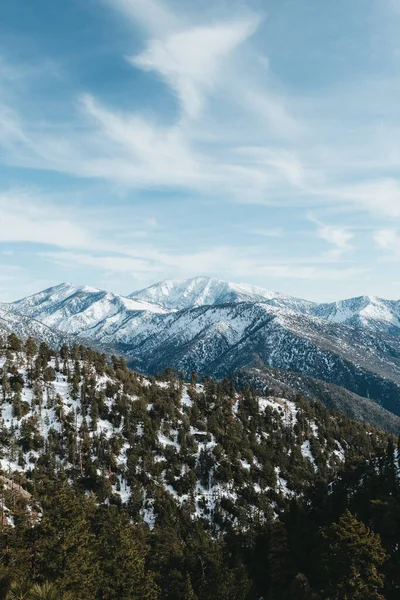 Angeles Ulusal Ormanı Nda Yeşillik Karla Kaplı Dağların Hava Görüntüsü — Stok fotoğraf