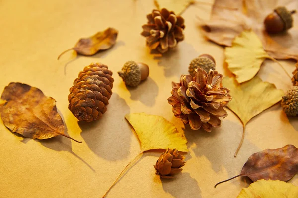 Closeup Shot Autumn Leaves Conifer Cones Wooden Background — Stock Photo, Image