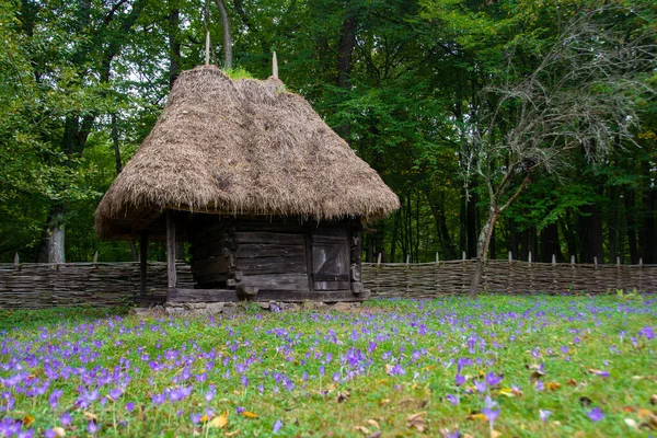 Sibiu Romania 2020 Uno Dei Più Grandi Musei All Aperto — Foto Stock