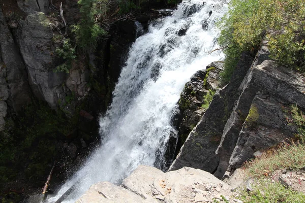 Ein Niedriger Wasserfall Mit Weißem Schaum Wald Mit Klippen Und — Stockfoto