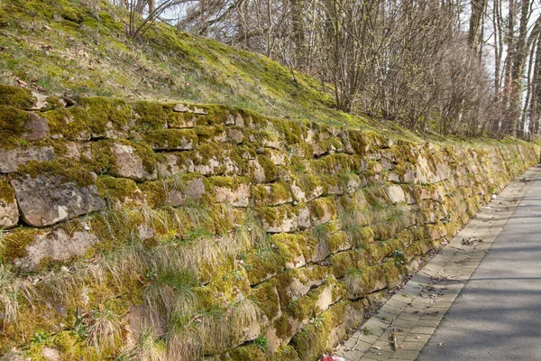 Primo Piano Muro Pietra Con Erba Esso Circondato Una Foresta — Foto Stock