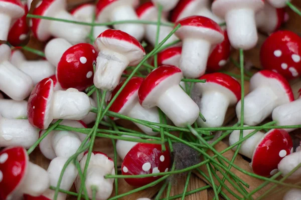 Primo Piano Bellissimi Funghi Decorativi Uno Sfondo Sfocato — Foto Stock