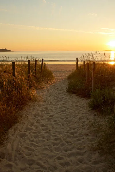 Plano Vertical Sendero Arenoso Hacia Playa Entre Vegetación Atardecer — Foto de Stock