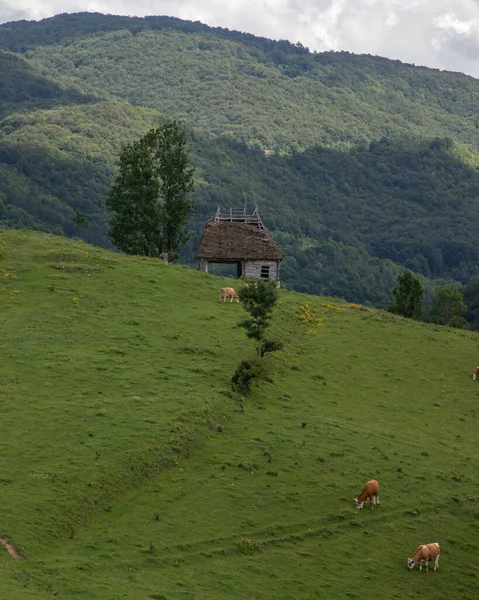 Uma Paisagem Rural Rural Dumesti Região Transilvânia Roménia — Fotografia de Stock