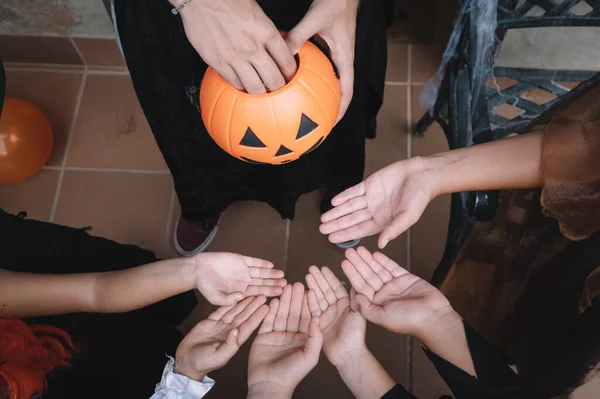 Niños Disfraces Halloween Esperan Dulces Una Persona Que Comienza Compartir —  Fotos de Stock