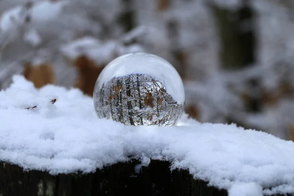 Plan Sélectif Une Forêt Hivernale Travers Une Boule Verre Transparente — Photo