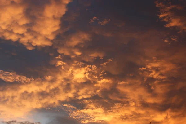 夕日の空に美しい赤とオレンジの雲の息をのむような景色 — ストック写真