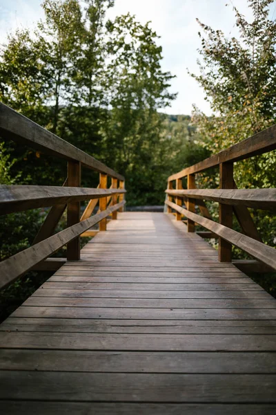 Vertikal Bild Träväg Med Staket Skogen — Stockfoto