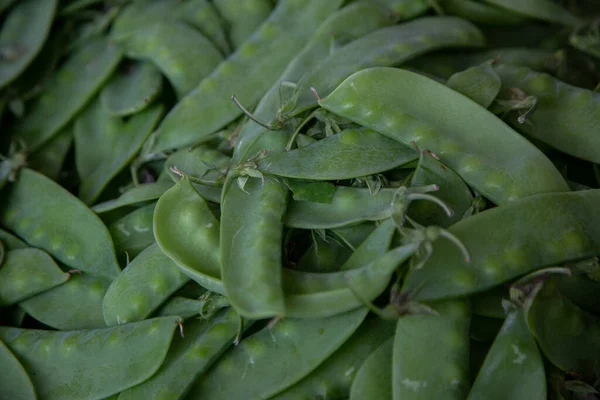 Närbild Färska Gröna Bönor — Stockfoto