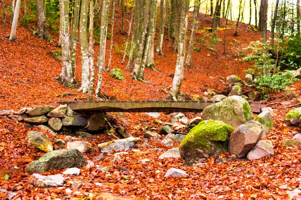 スペイン バルセロナのモンセニー自然公園の美しい秋の景色 — ストック写真