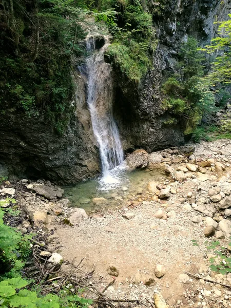 Вертикальний Знімок Кришталево Чистої Води Тече Маленького Водоспаду Лісі — стокове фото