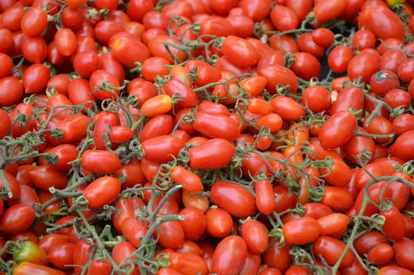 ドイツのライヒェルシェイム 2013年5月9日 毎週市場に赤いトマトが表示されます — ストック写真