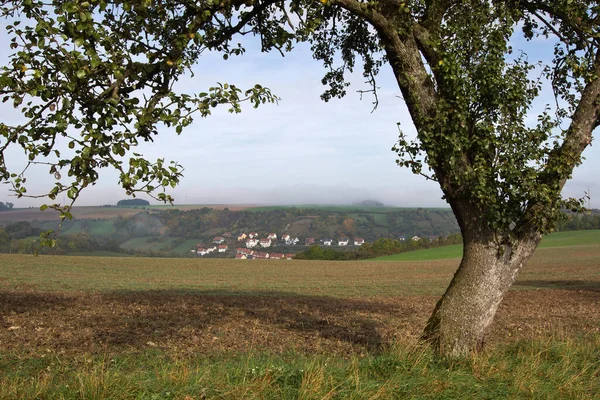 手前に木のある農場風景の眺め — ストック写真