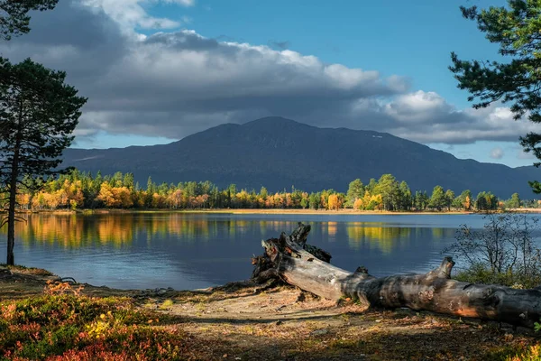 Uma Bela Foto Paisagem Natural Outono — Fotografia de Stock