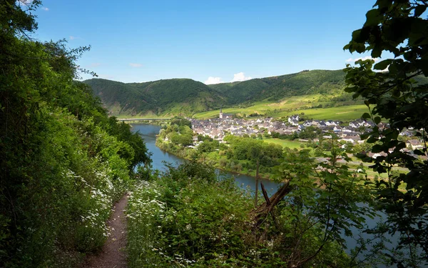 Ellenz Poltersdorf Almanya Daki Moselle Nehrinin Yanında — Stok fotoğraf