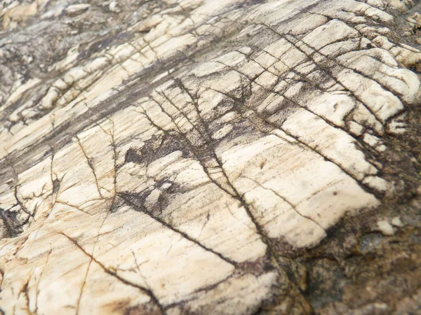 岩の質感のクローズアップショット — ストック写真