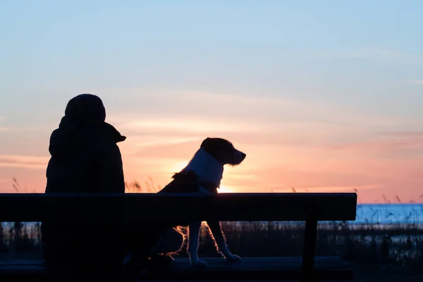 Portrait Silhouette Une Femme Son Chien Assis Sur Banc Plage — Photo