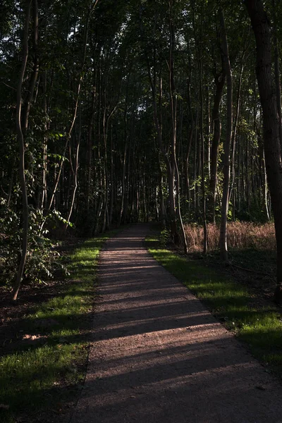 Jag Gjorde Det Här Fotot Två Veckor Lång Bilresa Till — Stockfoto