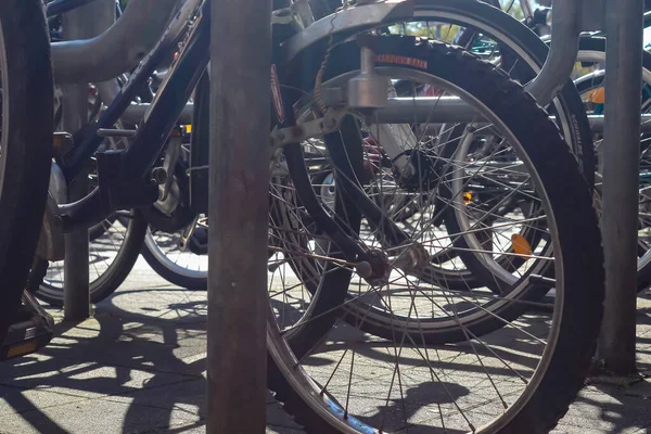 Kiel Germany Oct 2020 Lots Bicycles Public Parking Space Found — Stock Photo, Image