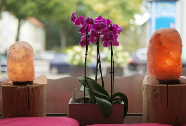 Hrnec Krásnými Fialovými Orchidejemi Solnými Lampami — Stock fotografie