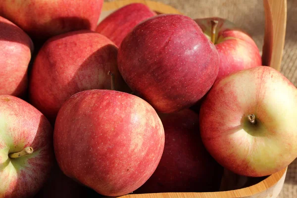 Closeup Shot Bunch Fresh Apples Perfect Background — Stock Photo, Image