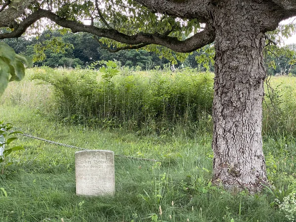 Надгробие Рядом Стволом Дерева Поле — стоковое фото