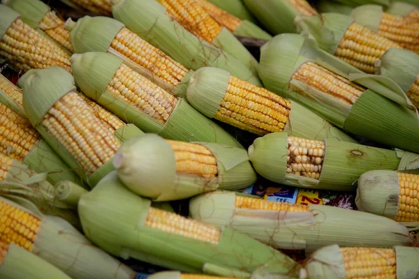 Closeup Shot Pile Corn Cut Leaves — Stock Photo, Image