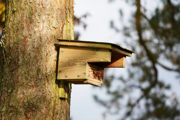 Ağaç Gövdesindeki Ahşap Bir Kuş Evinin Yakın Plan Çekimi — Stok fotoğraf
