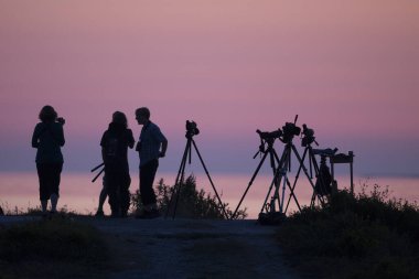SPITHAMNI, ESTONIA - Jul 25, 2014: Group of ornithologists conducting arctic seabird monitoring in the Spithamni bird observatory in the in the mouth of Finnish Gulf, Estonia clipart