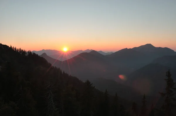 Sonnenuntergang Den Chiemgauer Alpen Mit Bergen Und Wald Bayern Deutschland — Stockfoto