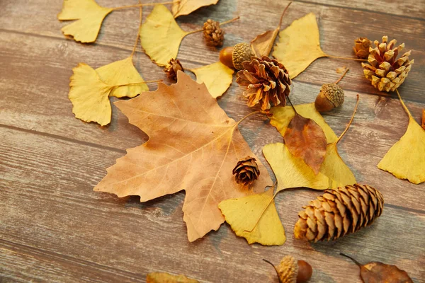Крупный План Осенних Листьев Хвойных Конусов Деревянном Фоне — стоковое фото