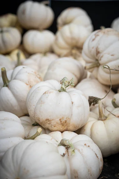 Primo Piano Verticale Sacco Aglio Mercato — Foto Stock